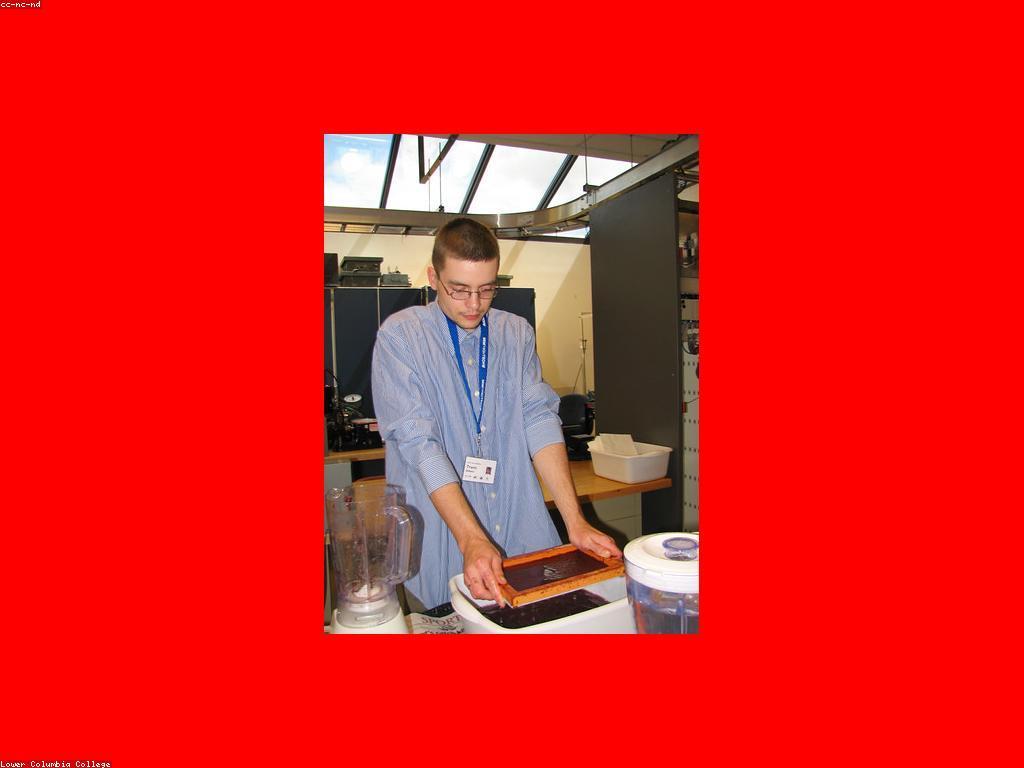 ឱកាសការងារនៅក្នុងវិស័យអង្គការមិនរកចំណេញ