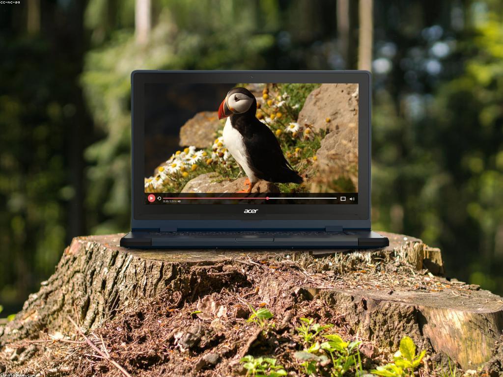 ឱកាសការងារនៅក្នុងការងារប្រកបដោយភាពចម្រុះ