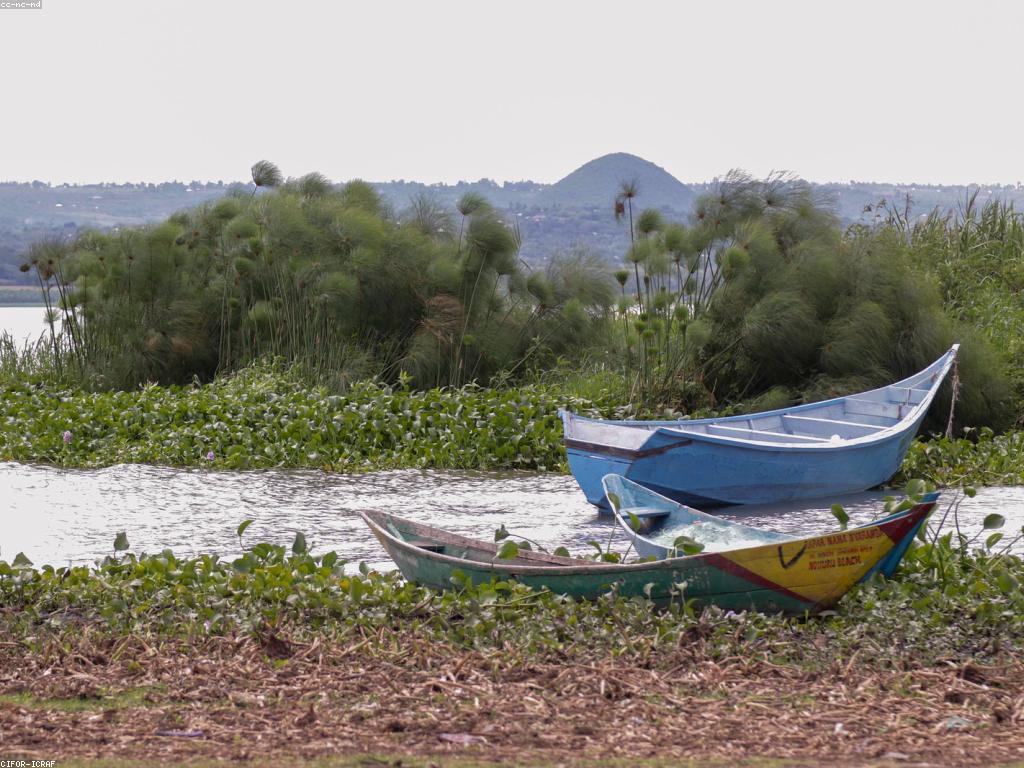 អភិវឌ្ឍន៍ជំនួយ: ការផ្គត់ផ្គង់និងអនុវត្តន៍