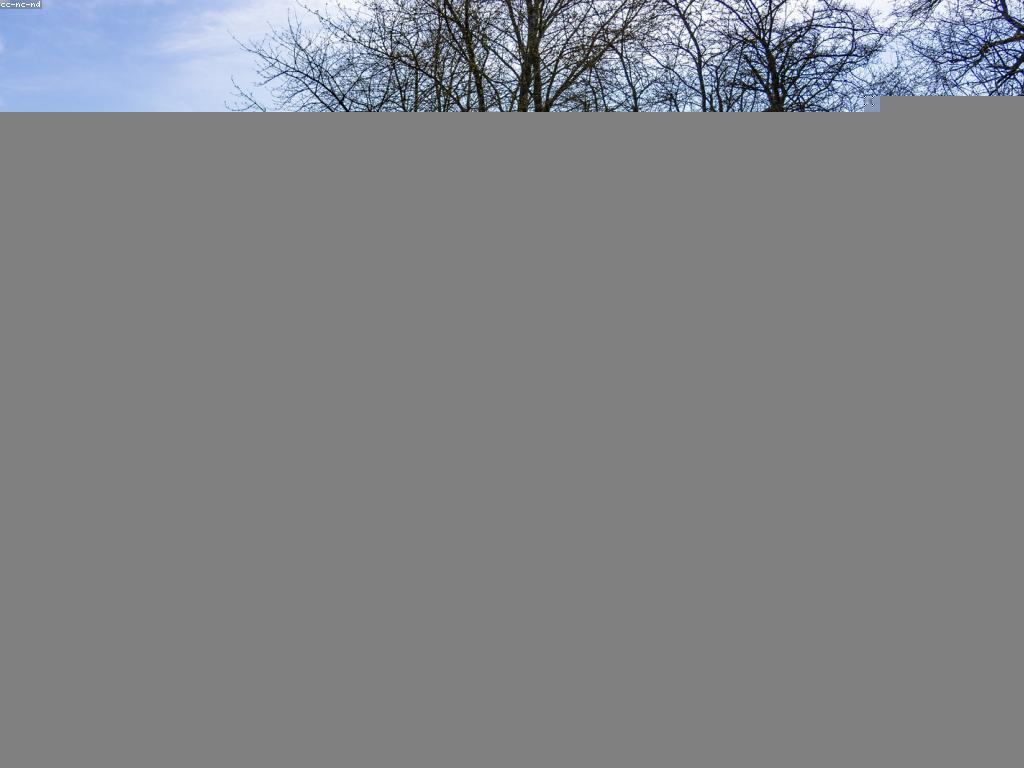 វិធីថ្មីៗសម្រាប់ការអភិវឌ្ឍន៍ជំនួយ