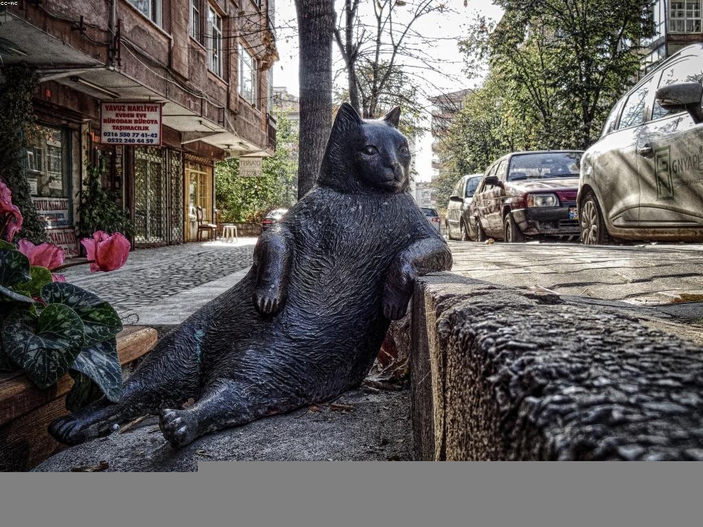 យុទ្ធសាស្ត្រការវិនិយោគសម្រាប់ការលូតលាស់