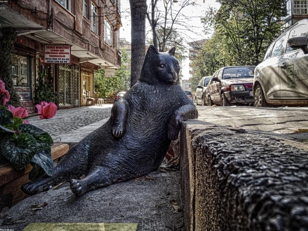 សេវាកម្មចំប៉ី: ការដោះស្រាយសម្រាប់តំបន់ដីល្អឥតខ្ចោះ