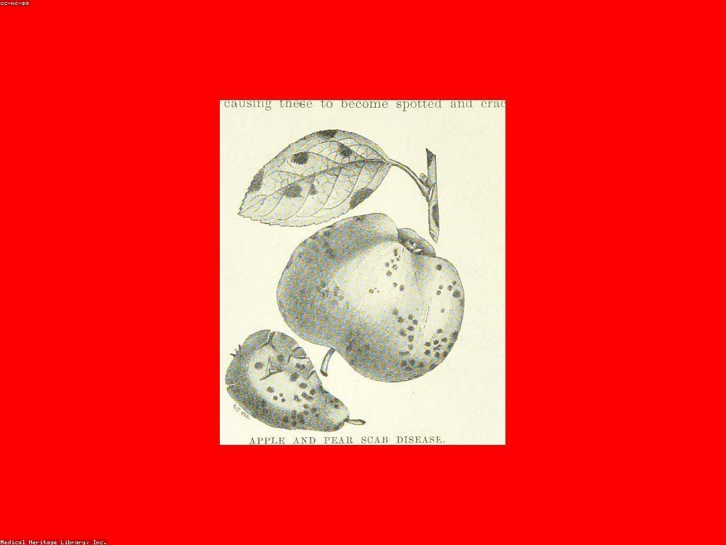 សេវាកម្មចំប៉ី: ការធ្វើការពារអាស័យដ្ឋានរបស់អ្នក